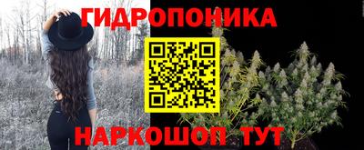 стаф Заводоуковск